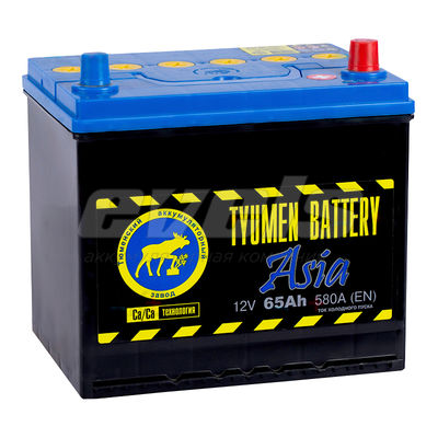 Tyumen Battery 6ст-65L ASIA R+ D23 — основное фото